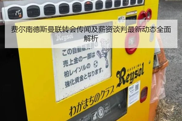 费尔南德斯曼联转会传闻及薪资谈判最新动态全面解析（RAY ESPORTS）